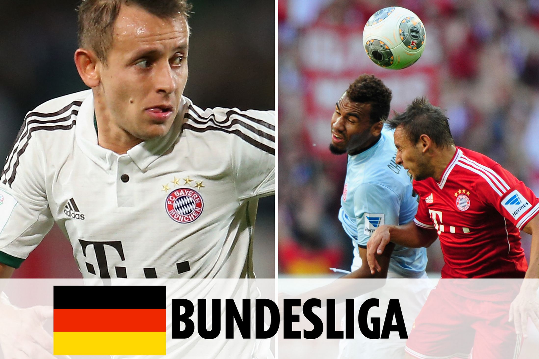 我们不仅是 我们不仅是